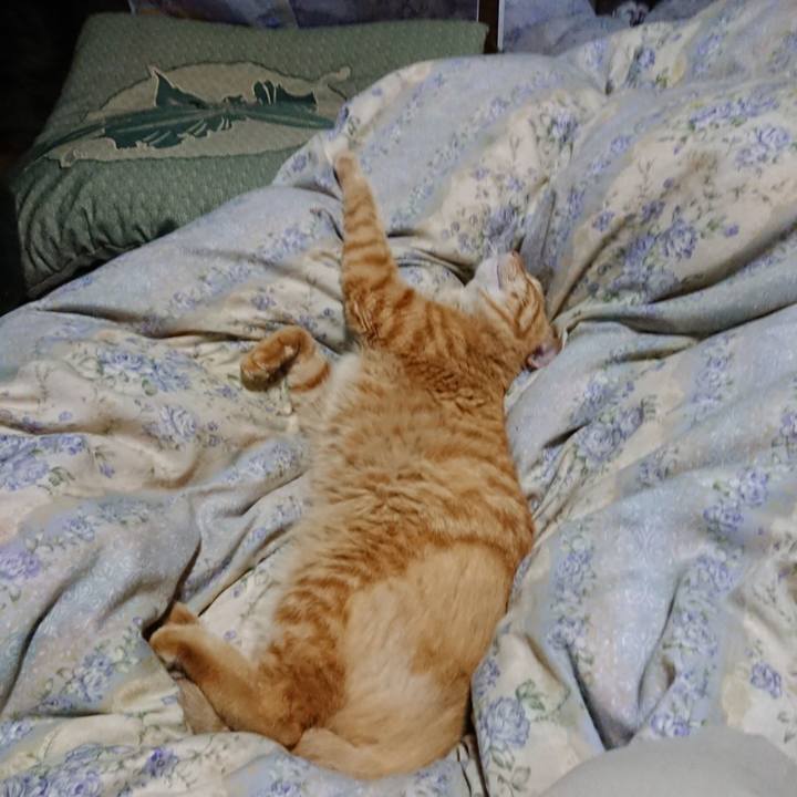 468f214f 8bc3 488a 90d5 13d59d2a6b3b 1659500149035