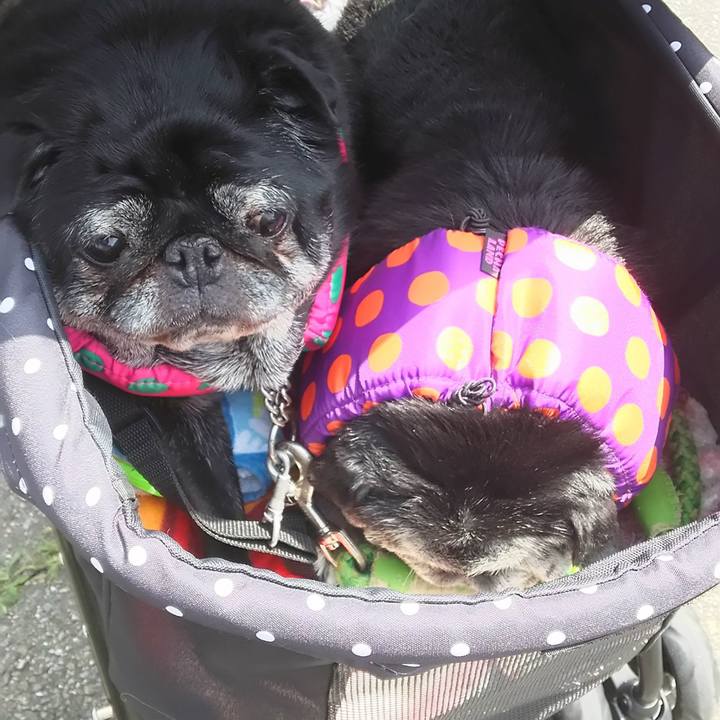 468f616a f558 4d4f 93c1 01dd1b8d65a9 1562942009253