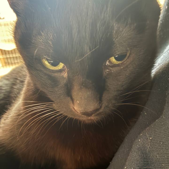 468f6436 e008 4d09 bd95 cd5ab91843e0 1763160127210