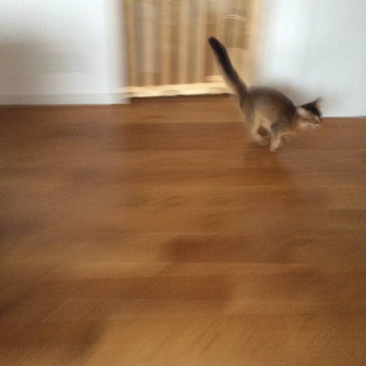 468f8916 ed09 48ed 8009 2ca813c30710 1567385671084