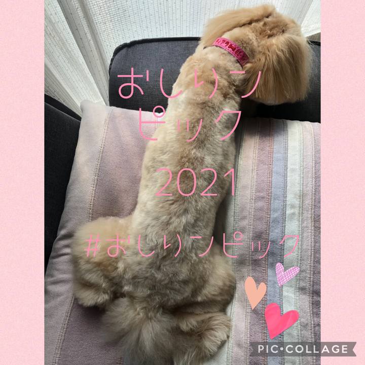 468fa31c 386b 4aa1 acbc 6ae2f9ce9f14 1627259103702