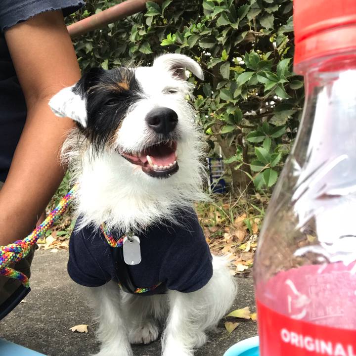 468fa73a 0932 4a2d a77e 3b0fb70d6c93 1538969222985