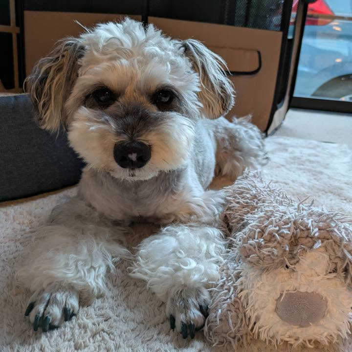 468ff13e 1dbf 41ef b3bd 845c02dde208 1757124249379