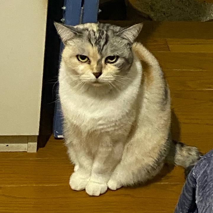 469048ab ba6a 4948 8814 a4f89fc3b0ec 1665413231654