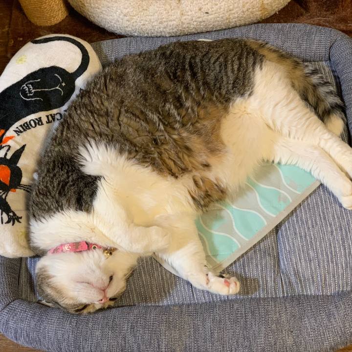 4690555e 7adc 4c55 b2c9 60b8f833b605 1757165406209