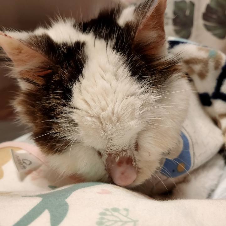 4690676a 1381 46ba 9266 aa997173f319 1614953529217