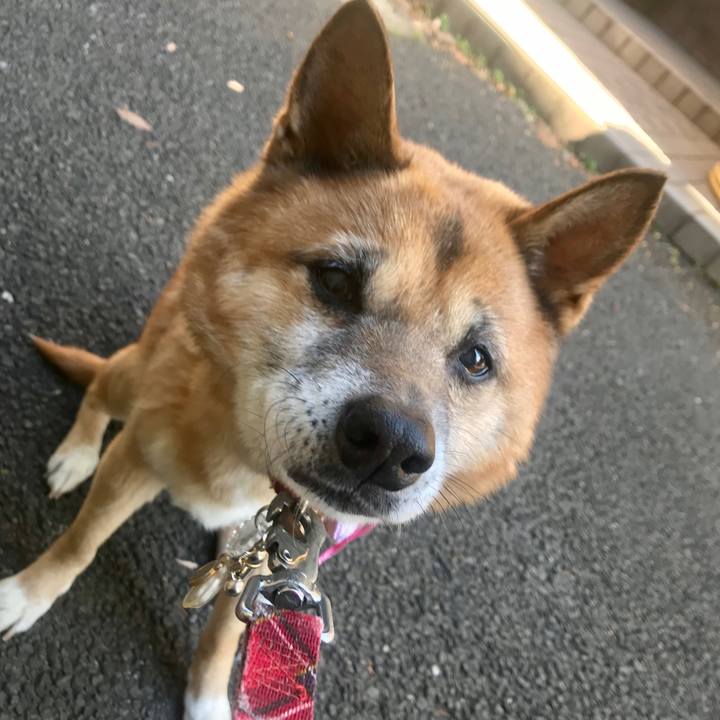 46906879 25c1 415c aed1 7413cb48cacb 1514944556985