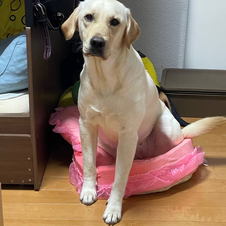 46907e5c e892 4c26 b673 1124de77a3bf 1661261452562