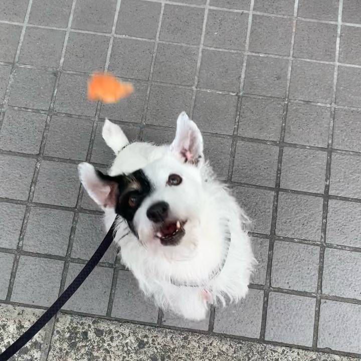 469097b5 4423 49a8 8eab 30f648fb226d 1694041262148