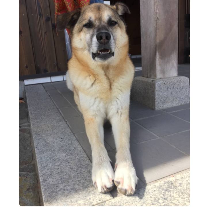 46909825 6d0f 41bd 9238 3aab3492539f 1530409284936