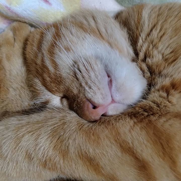 4690e024 587b 4cb9 b3b0 f49842a878c7 1668514578345