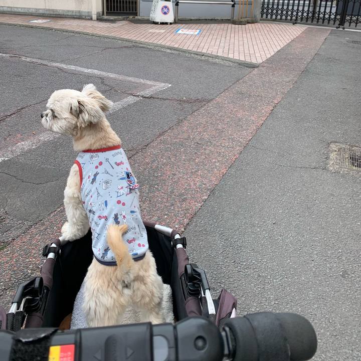 4690eff5 ebf9 4e89 bb44 4ceff75a1ab7 1648734749567