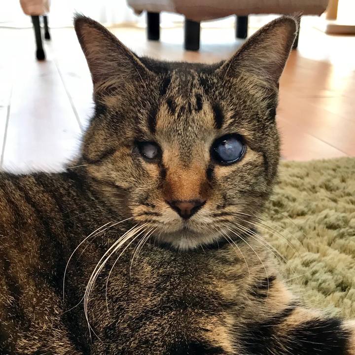 4690f4e3 ae68 4cf0 986f 1523a049670c 1550476159149