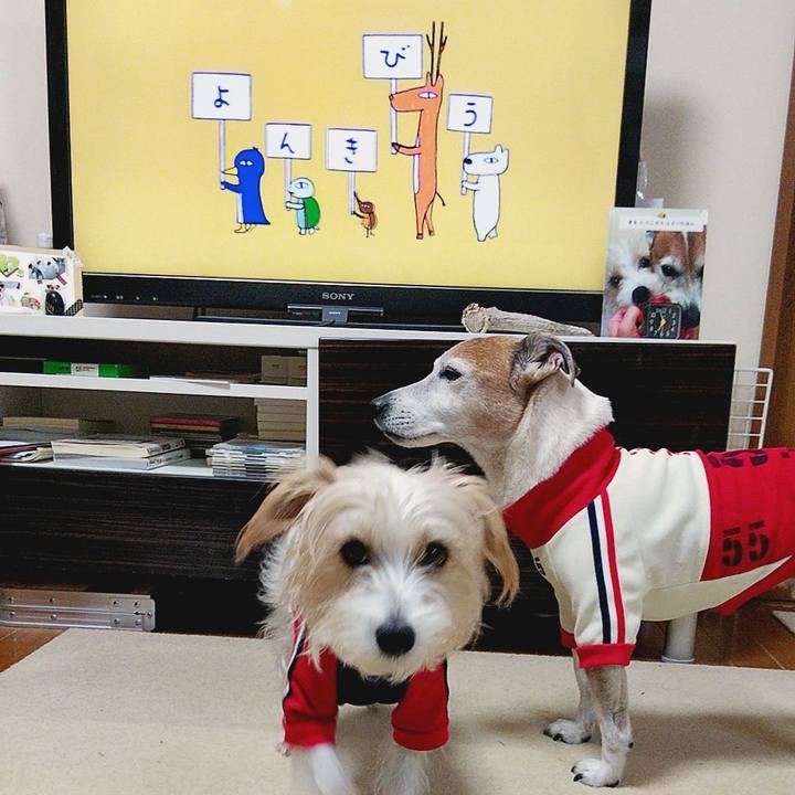 46911a41 93b5 4d53 a26b 9de64ad8b111 1575584702343