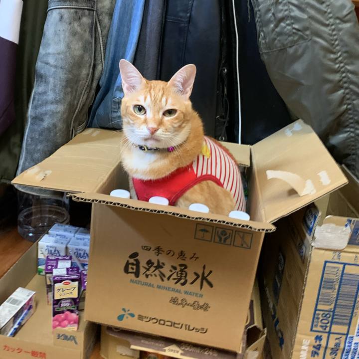 469138dc 4b19 44a6 8831 683a089eb179 1589371687424