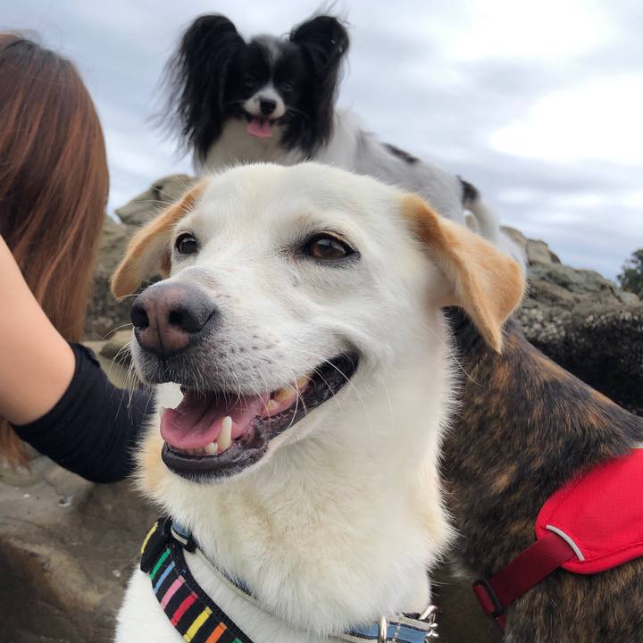 469171e7 99a0 4f76 ad2e 63ce41757642 1629165839290