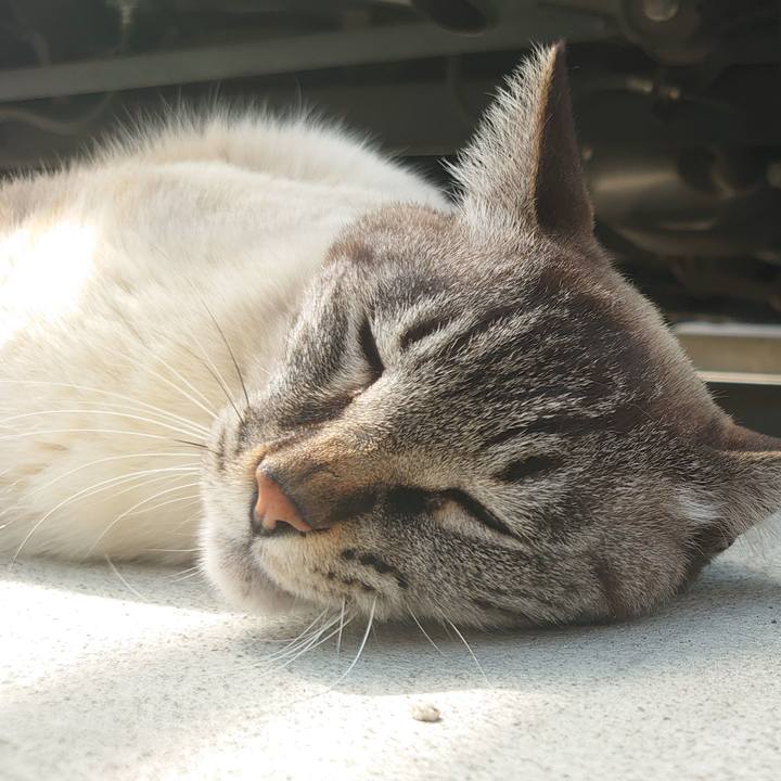 46919e53 4e93 4621 8095 7f4008663316 1678421980196