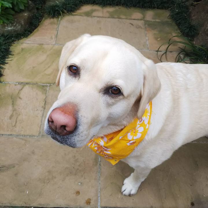 4691c06b 579a 4f13 b9ef bb13d609505d 1580438790514