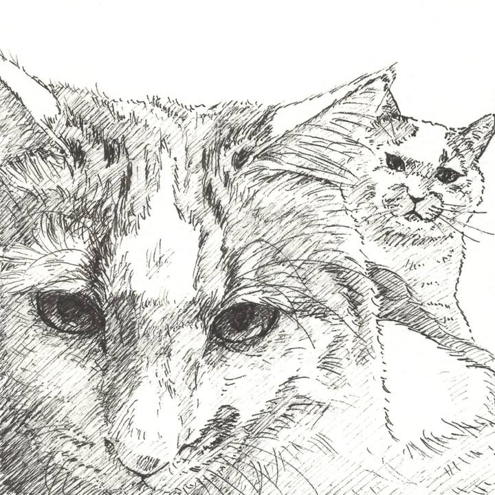 4691ec64 2fa0 4642 87e9 d1a171ac4d7d 1568986899830