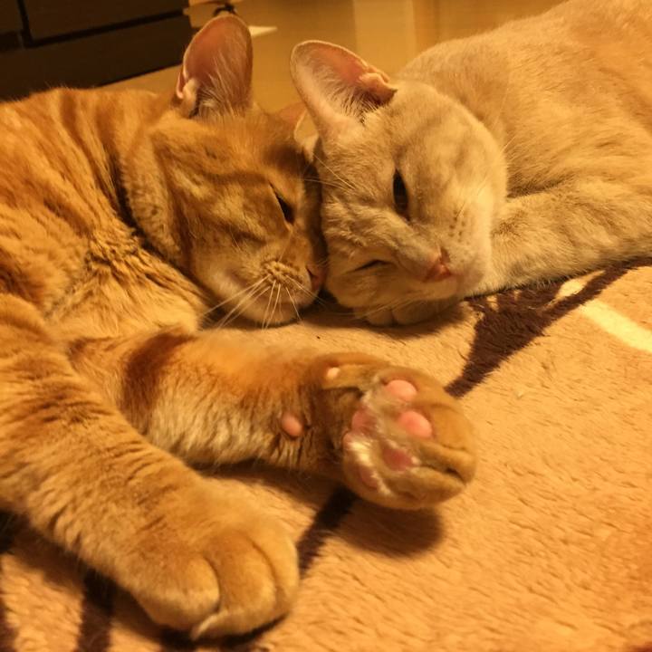 4691f292 350a 472a adf2 f326d3d9bc19 1570454212910