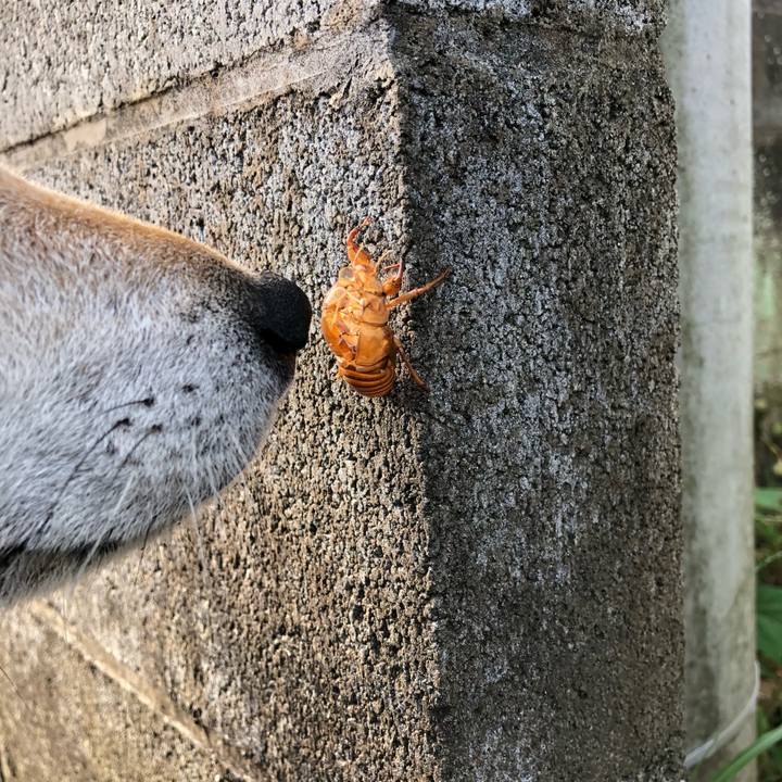 4691f5db ed8a 4dee bfec 479a223d57c8 1532413452173