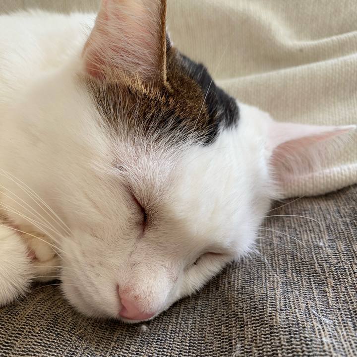 4691f639 442c 4c0a 869d 6978046c2f90 1674778972610