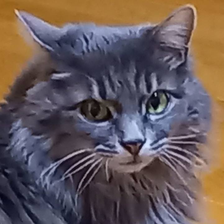 469248d5 b9c8 4970 a0fc a04e0cebe303 1611997551763