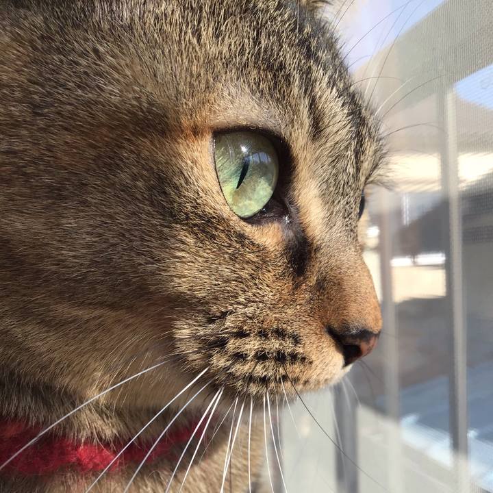 4692501a 6302 4556 b0c3 4b84f3587ab3 1612147216716