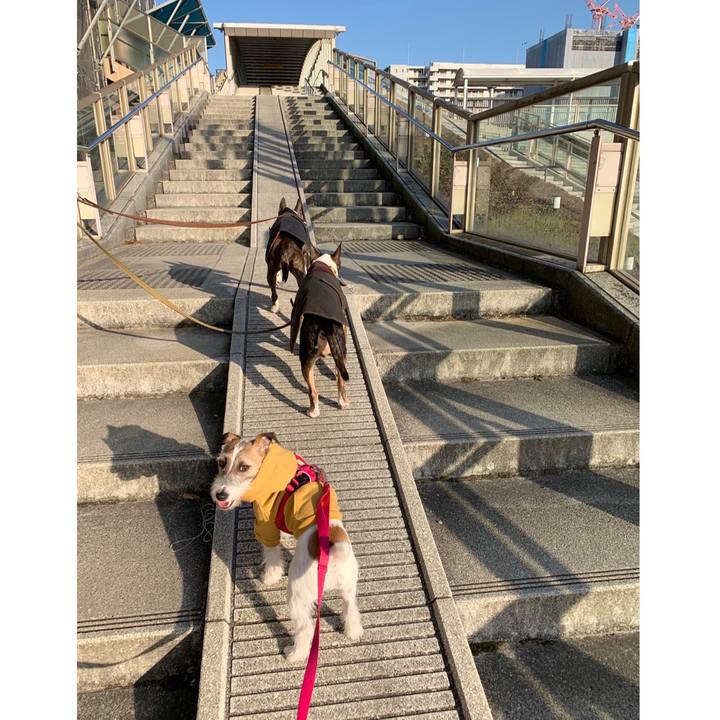 4692911d 4a88 4c24 b358 09ac75573a2c 1582540829194