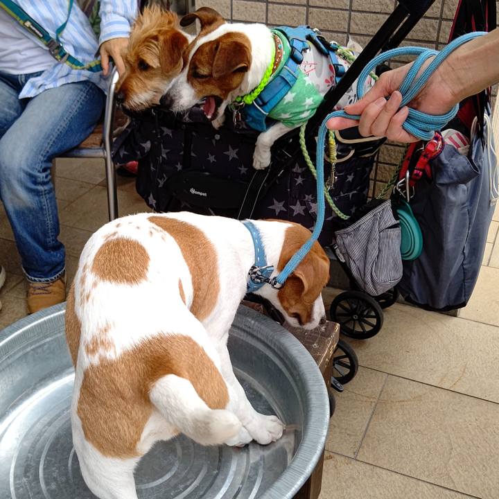 4692c369 1a32 4f28 81a3 9da3af9fde9d 1624948759793