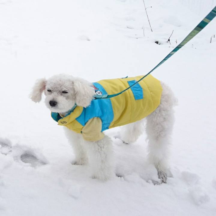 4692c5c1 a4f9 412e 978a 4f97c70300f0 1511707570038