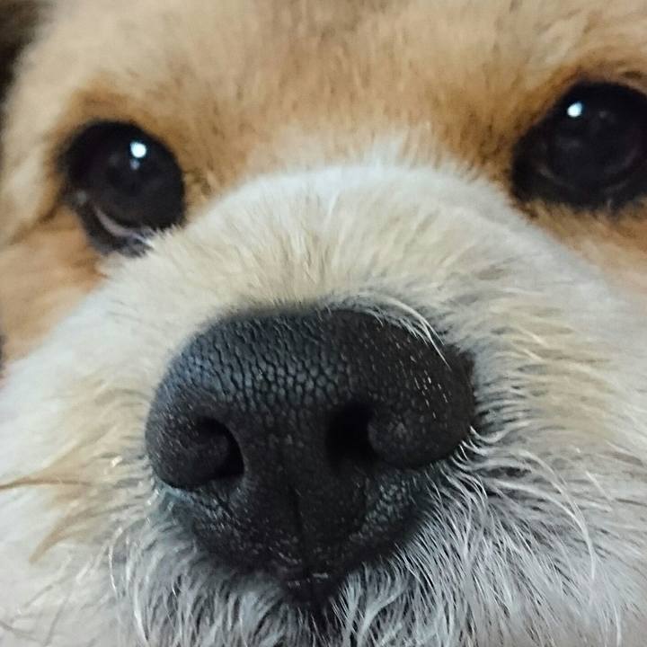 4692dc6c aca6 46c0 a1ad 3eb6a5689df8 1523618686594