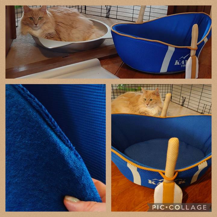 4693155e 818a 4609 b004 1b607000ee21 1658240612065