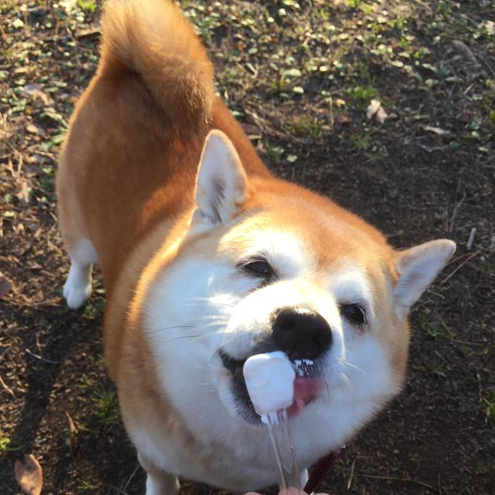 46931ff1 0f9f 4cc0 9761 f6a07e455146 1640123728737