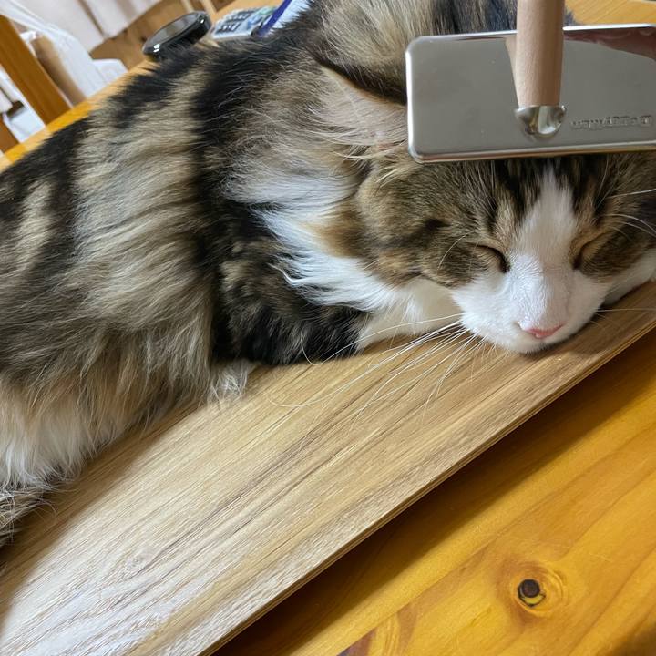 46933683 756c 40d6 b9f3 331bfcba0dac 1645442292516