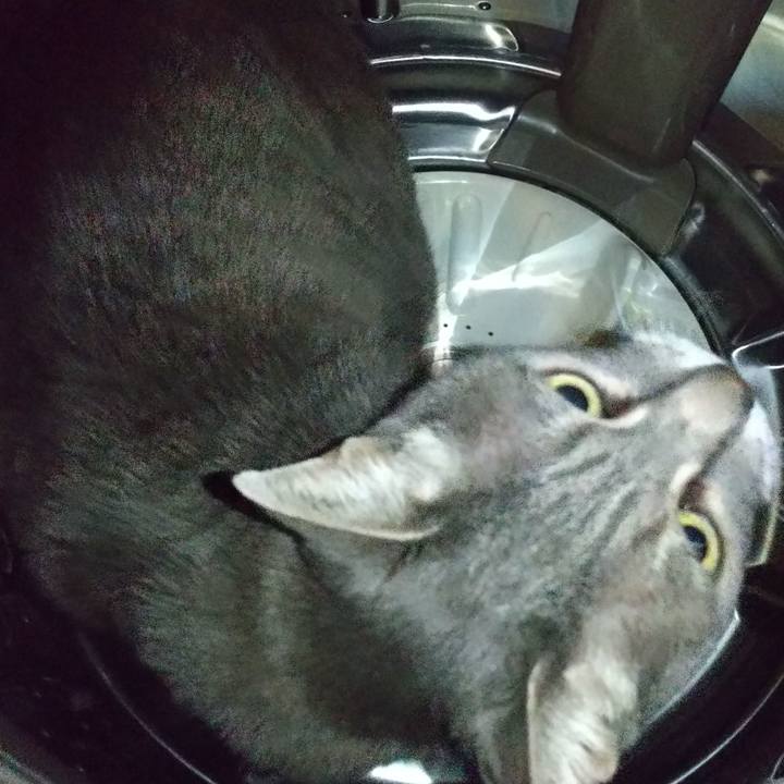 469354bf c63b 4056 8d1e a43d564d3228 1617879776561