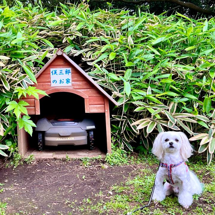 46935563 0691 42be 8f15 230aef22d7a4 1652165943434