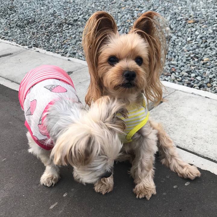 469362d7 2324 4f99 a3a7 6bee10ee3e92 1567750795741