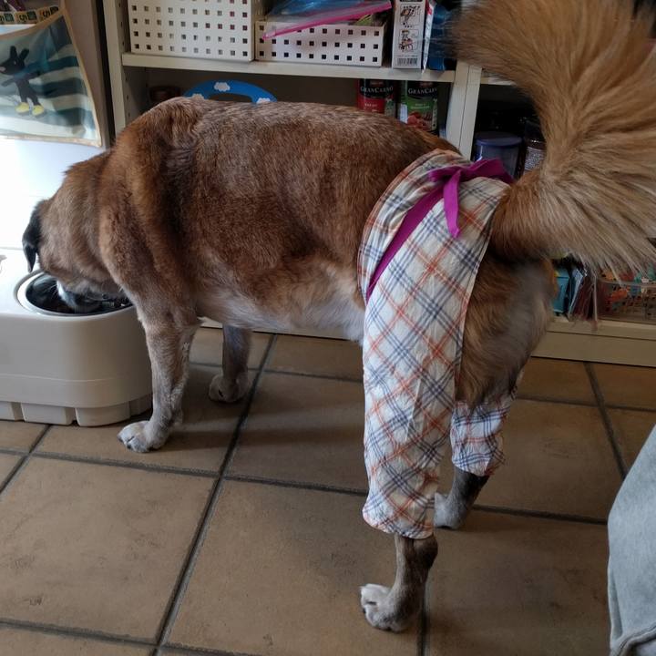 46938b46 6ff3 44c9 b719 b461eb91adaf 1516500875001