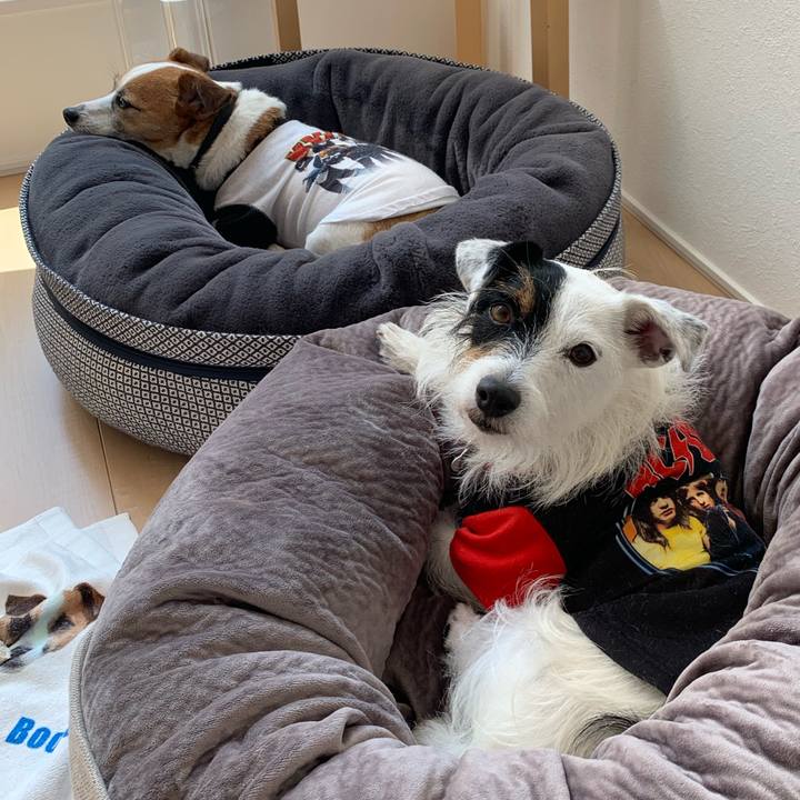 4693c137 ff5a 499c 9147 b243960ace8f 1596431563235