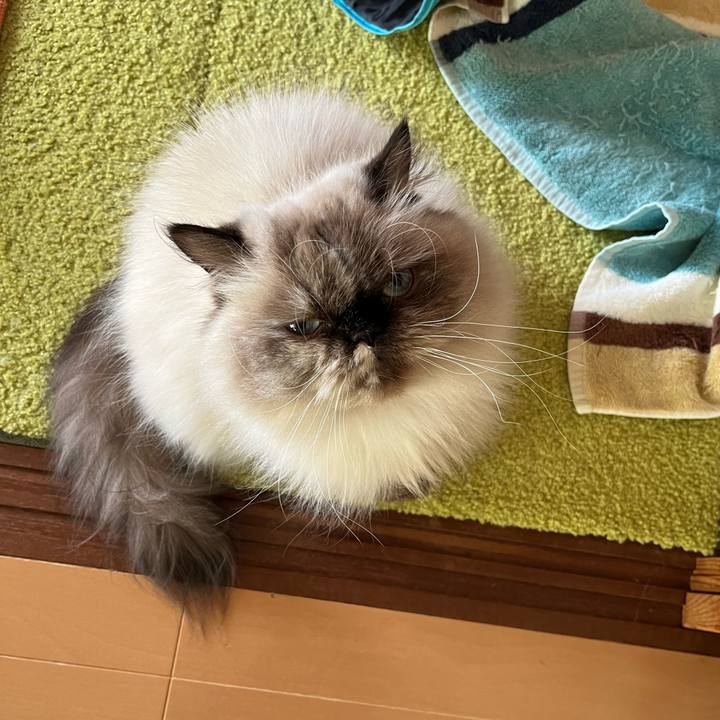 4693c501 61b8 4472 995b c07b2101a0be 1732437168356