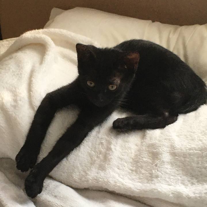 4693c904 e28f 4eb8 85fb ec462507674e 1627870783361