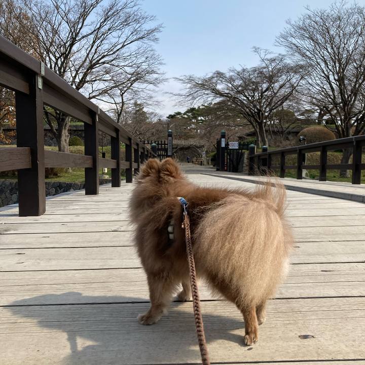 4693d3ec b31e 4afc 917a a9c35a0b5418 1650241587692