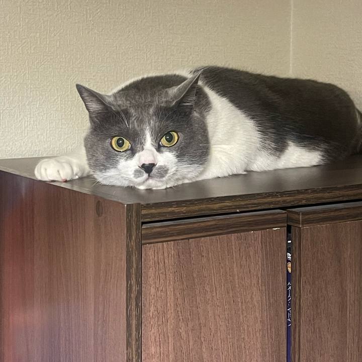 46940743 5889 4ca3 a8ea 3547a56555d5 1717084208923