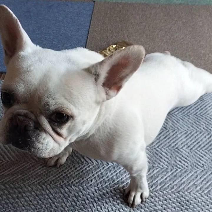 46941226 f574 4bf4 ae9c 7aafebba312b 1678178106808