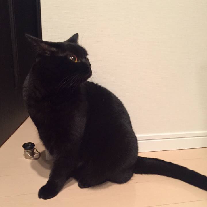 46941e8d 3f48 4f13 860e 0949bf704aa3 1542888988362