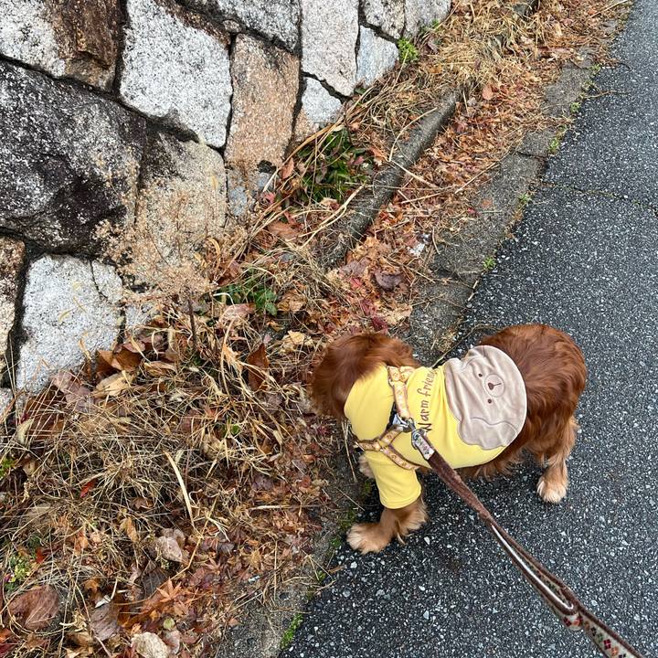 46942d79 1e6e 4fe9 bee2 d84849c394e2 1738504479807