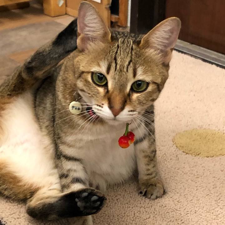 469436e1 ca8e 4134 9a30 906566b3b294 1619049952979