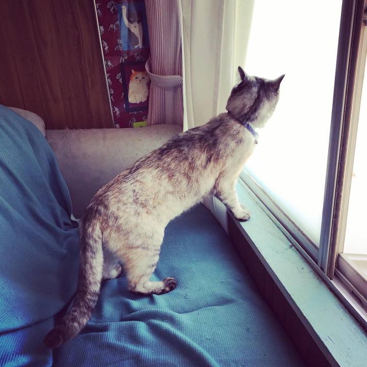 469469c6 5686 4fc2 b692 03a8b49336d5 1590641613620