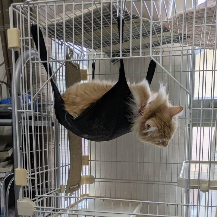 46947ceb f55d 42ac a975 c2878fa9ca31 1754391677916